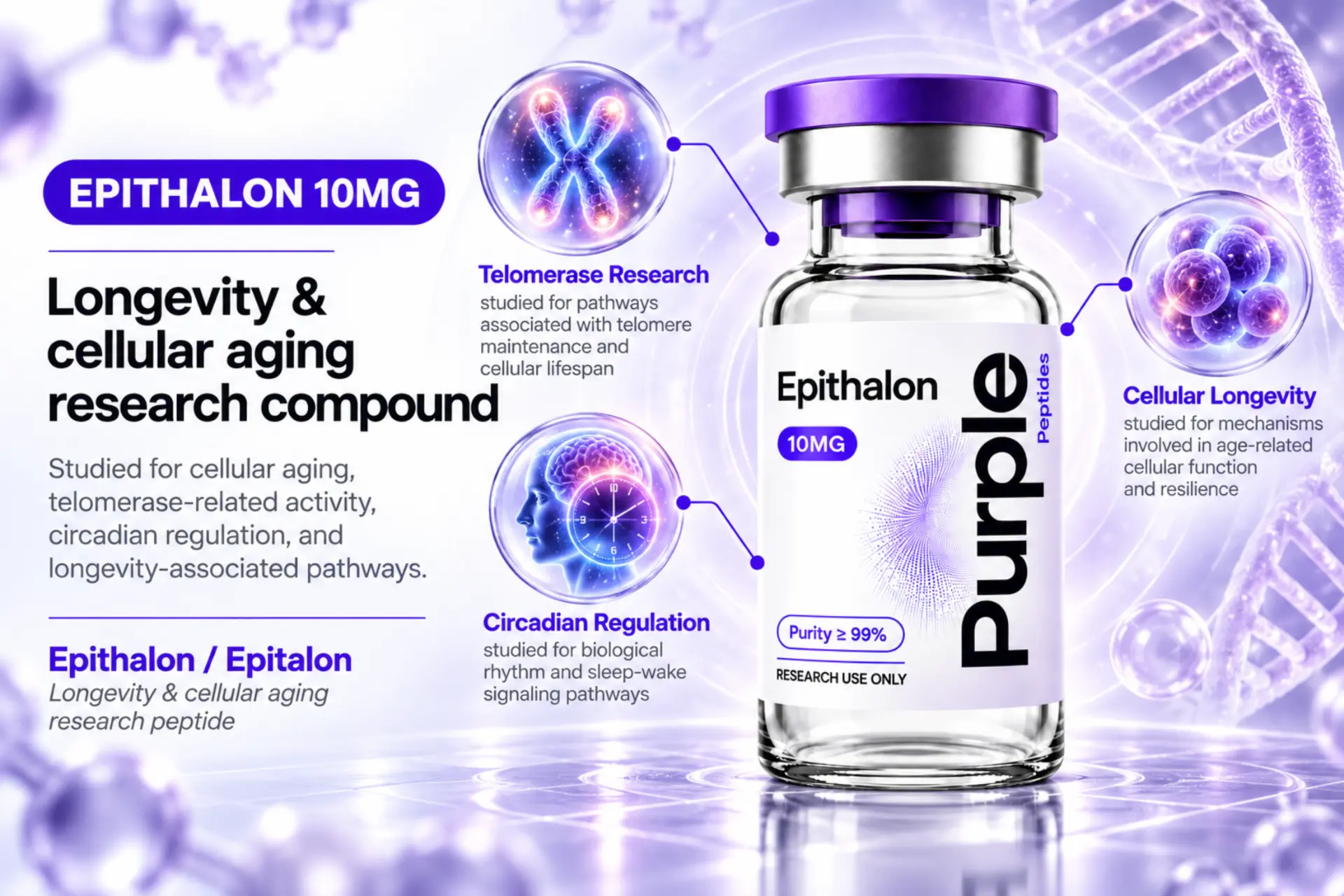 Epithalon research overview infographic