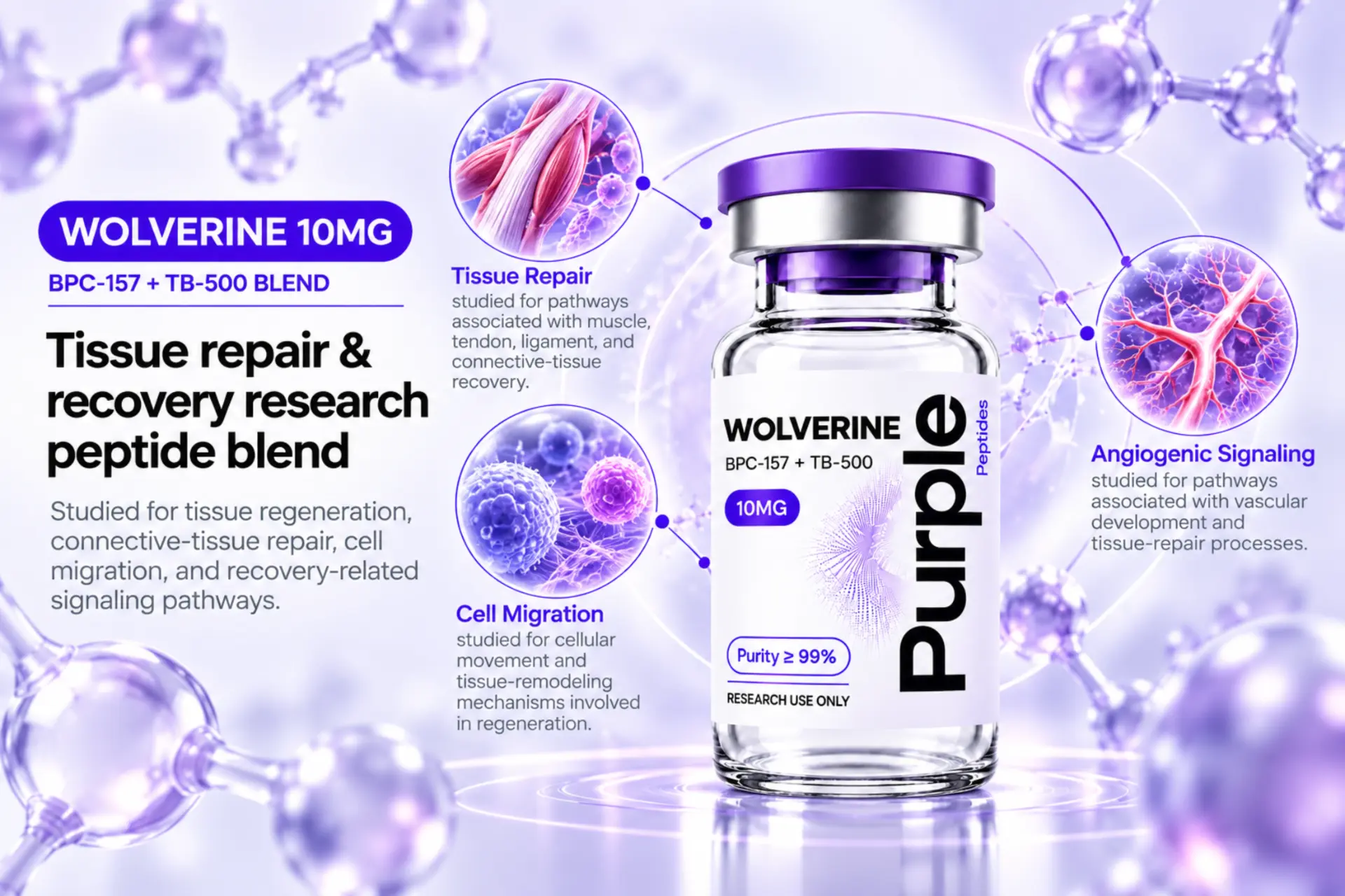 Wolverine research overview infographic