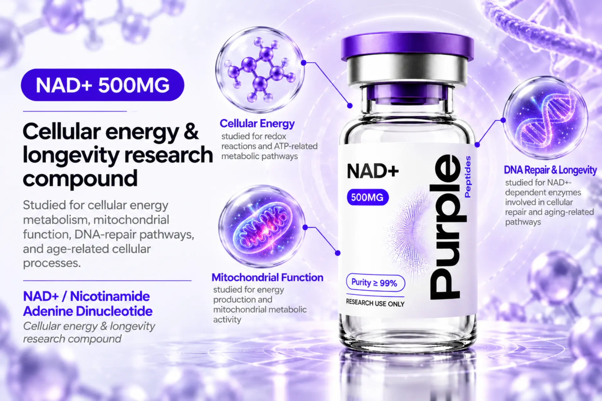 NAD+ research overview infographic