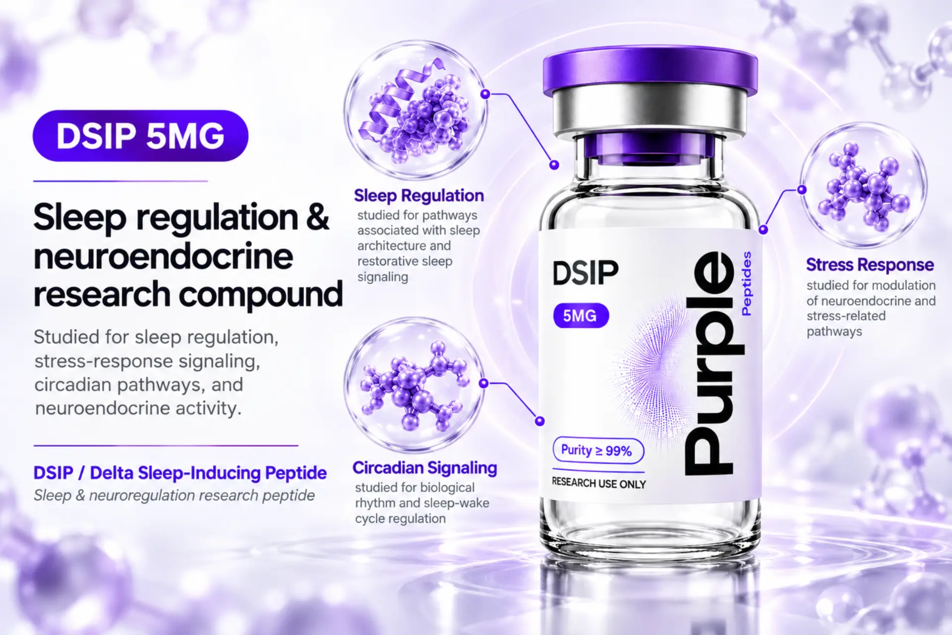 DSIP research overview infographic