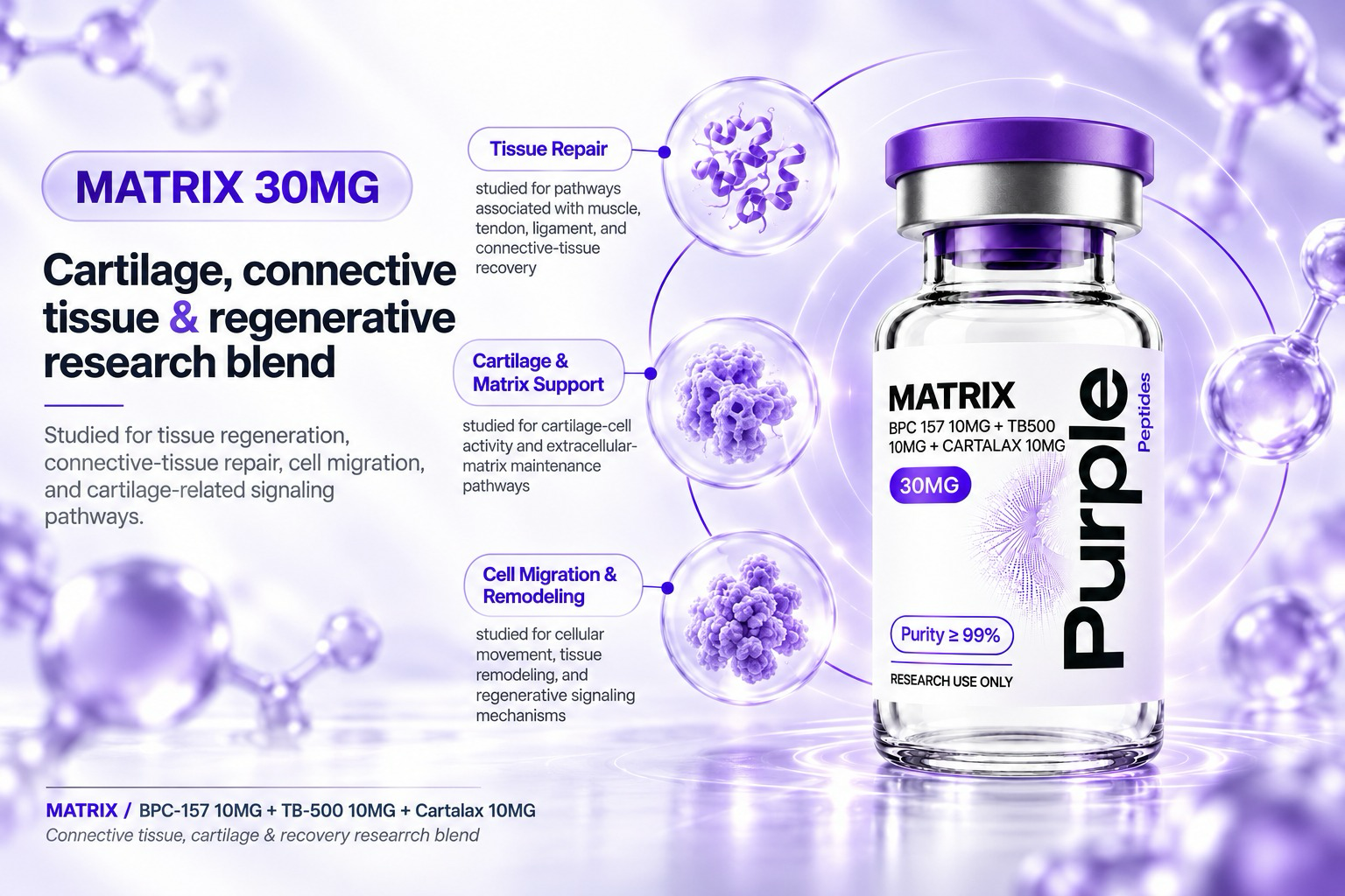 MATRIX research overview infographic
