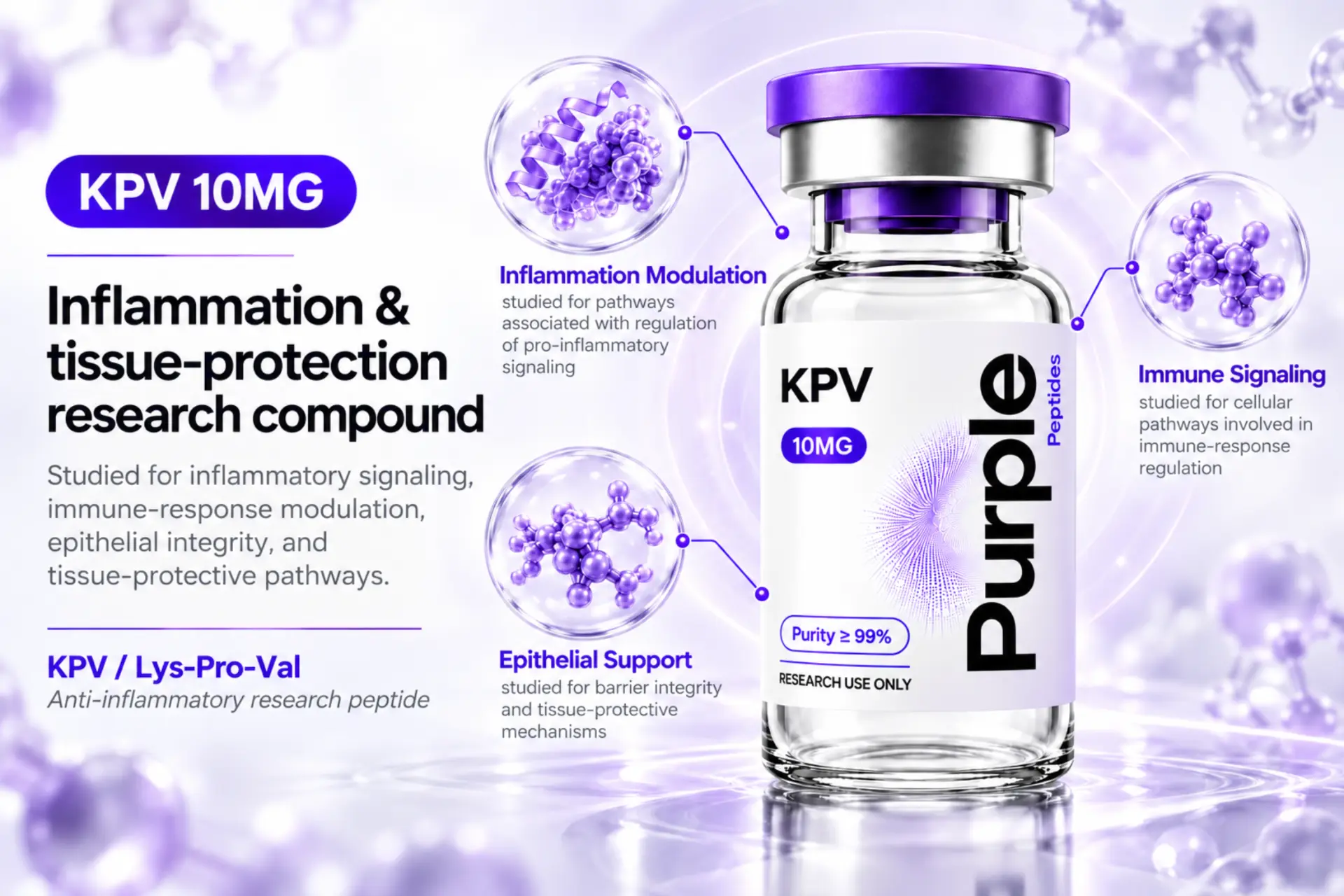 KPV research overview infographic
