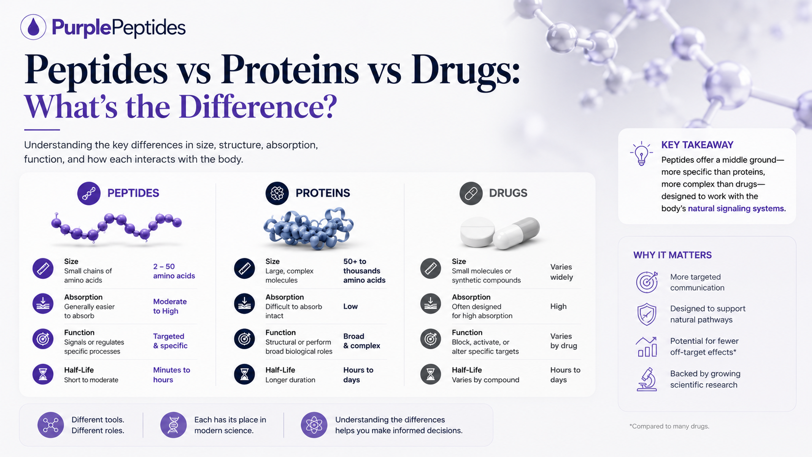 Peptides proteins and drugs comparison in biological systems 16:9 educational image