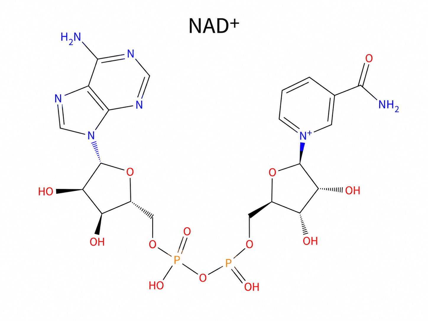 NAD+ structure