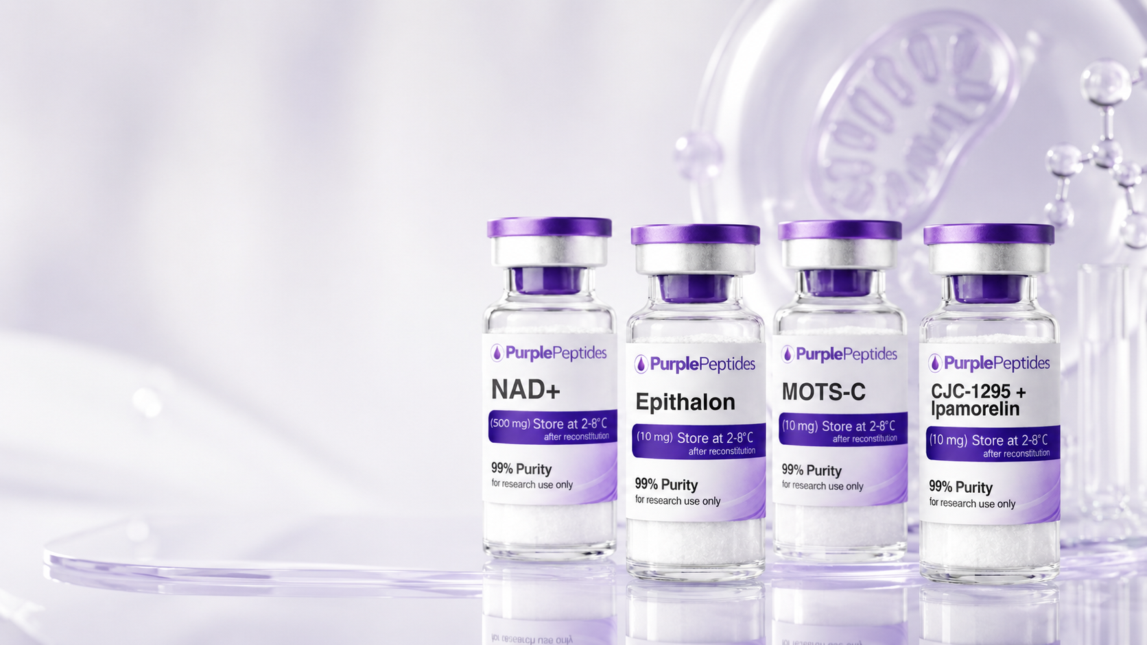 Longevity & Vitality Research